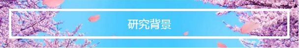QQ 截图 20191204135851