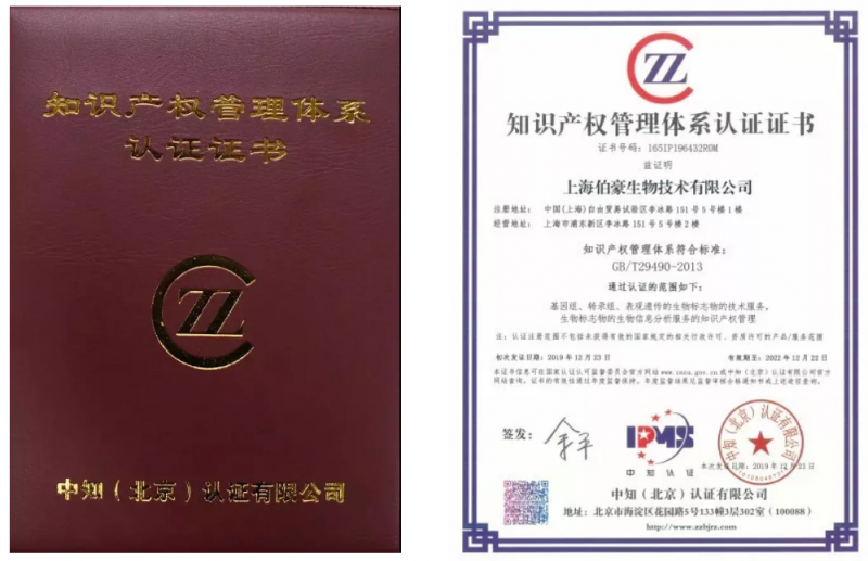 AG贵宾厅荣获知识产权管理体系认证证书
