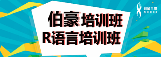 AG贵宾厅 R 语言培训班