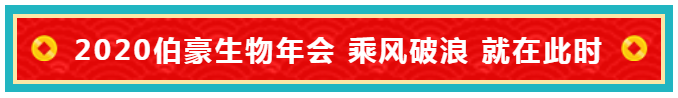 AG贵宾厅年会主题