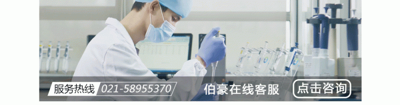  AG贵宾厅在线人工客服 