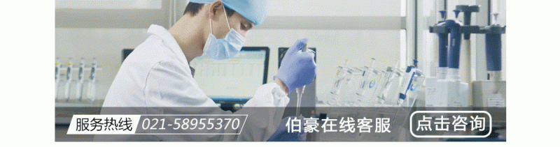 更多人工服务AG贵宾厅客户服务人工服务