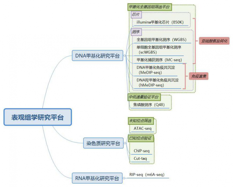  AG贵宾厅表观遗传学研究平台简介图 