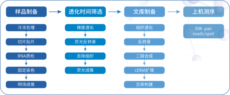 AG贵宾厅空间转录组测序流程