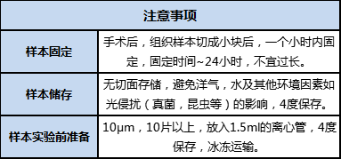 FFPE 样本准备、储存及运输