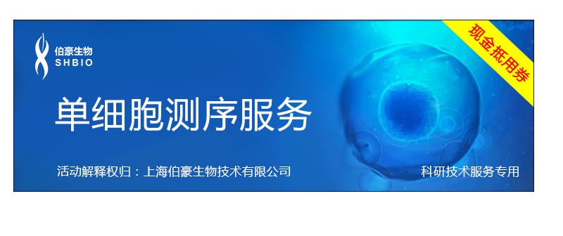 未标题 -1