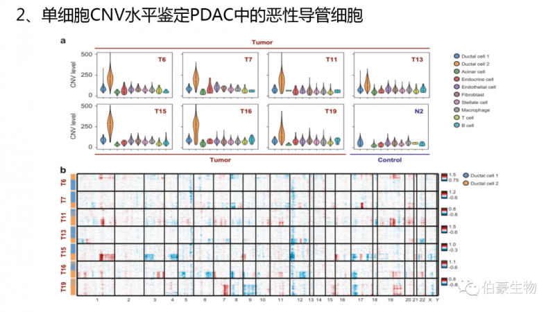 AG贵宾厅单细胞测序技术服务