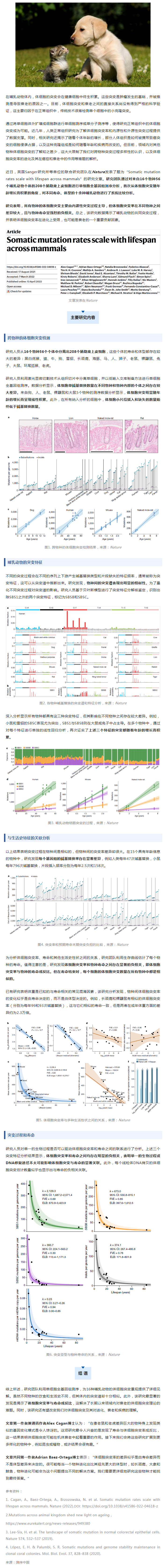 Nature _ 为何动物的寿命差异那么大？跨物种单细胞测序揭示长寿密码