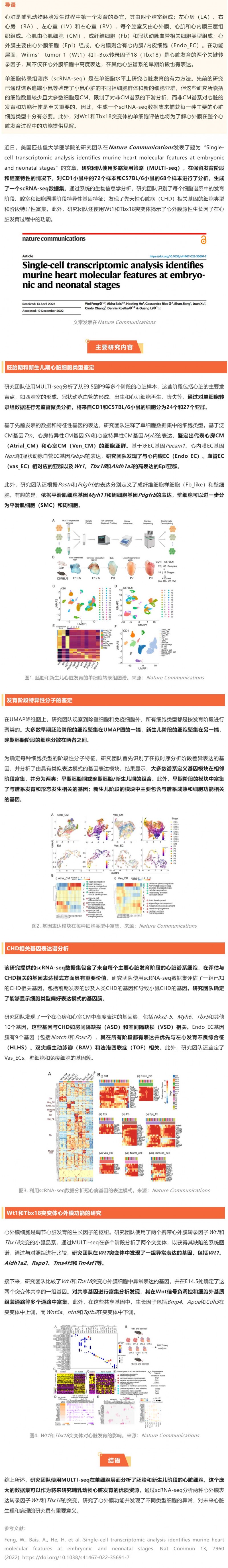 2023-01-31-Nat-Commun 发表胚胎及新生儿期小鼠心脏单细胞转录组图谱，揭示先天性心脏病相关基因的细胞类型及