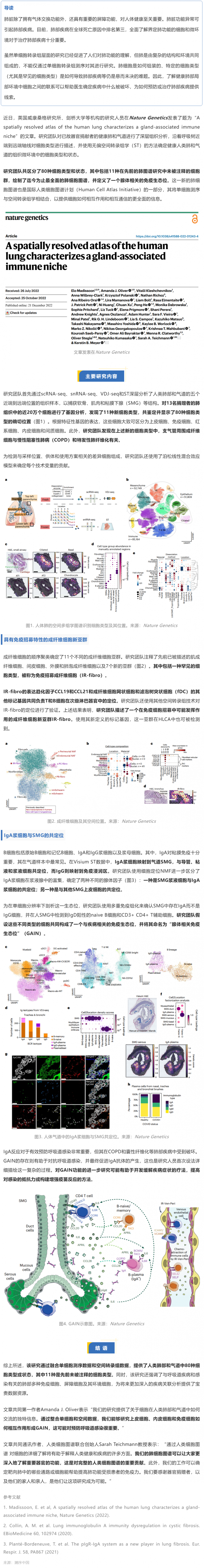 Nat Genet 发布迄今最全面的人类肺细胞空间图谱，首次揭示腺体相关的免疫生态位