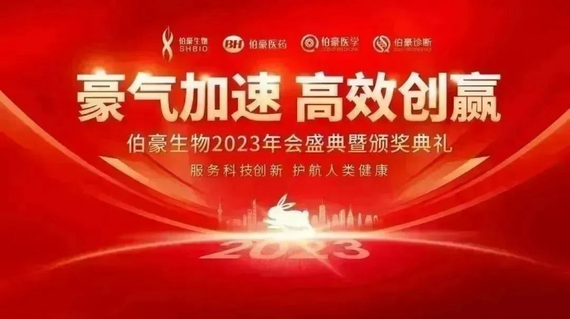 豪气加速，高效创赢