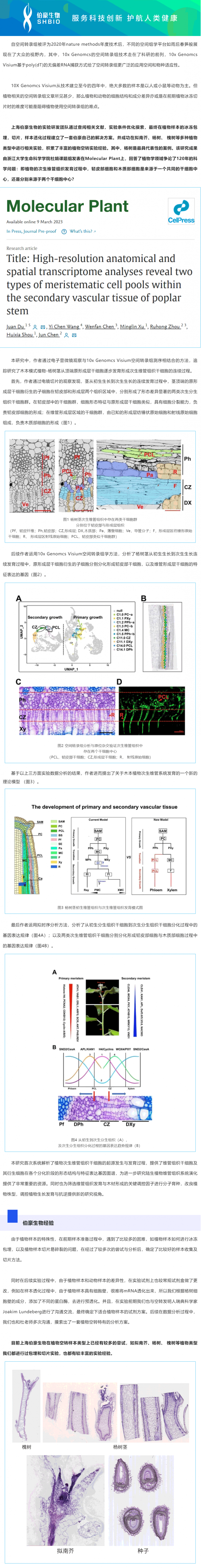 2023-03-17- 空转植物项目文章_AG贵宾厅助力浙江大学生命科学学院杜娟课题组报道植物维管组织结构与发育研究领域新进展