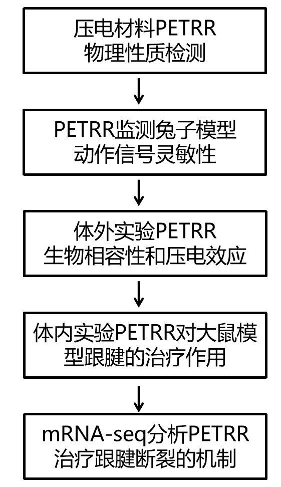 AG贵宾厅研究设计 mRNA-seq 项目文章