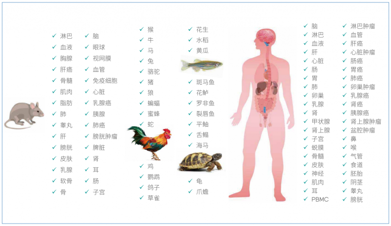  AG贵宾厅华大设备单细胞测序适用样本类型 