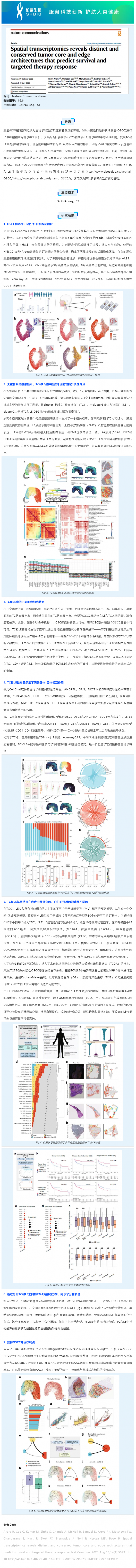 531 文献解读 _ 空间转录组学揭示了独特和保守的肿瘤核心和边缘结构，预测生存和靶向治疗反应