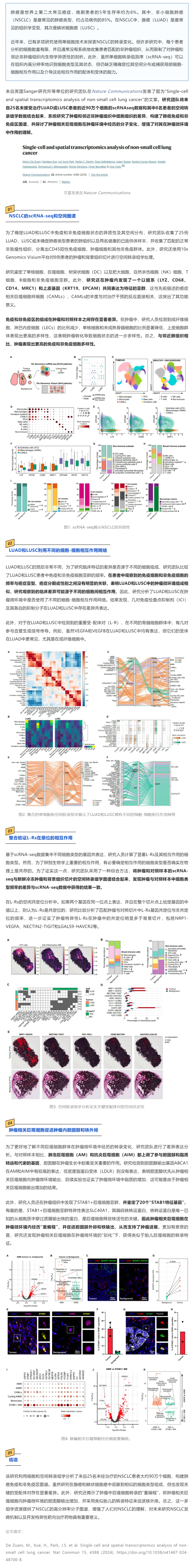 Nat Commun _ 基于单细胞和空间转录组学分析构建 NSCLC 免疫和非免疫区图谱