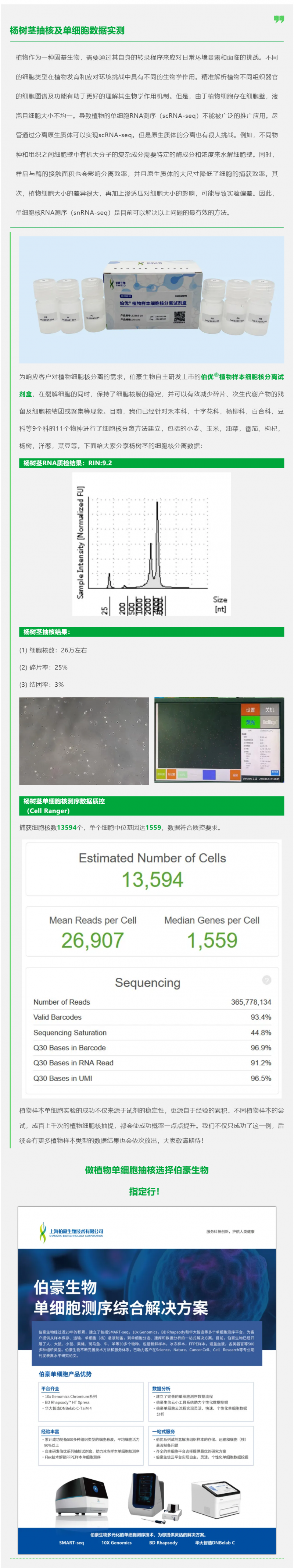 植物抽核哪家强！伯优试剂来帮忙！杨树茎抽核及单细胞数据实测