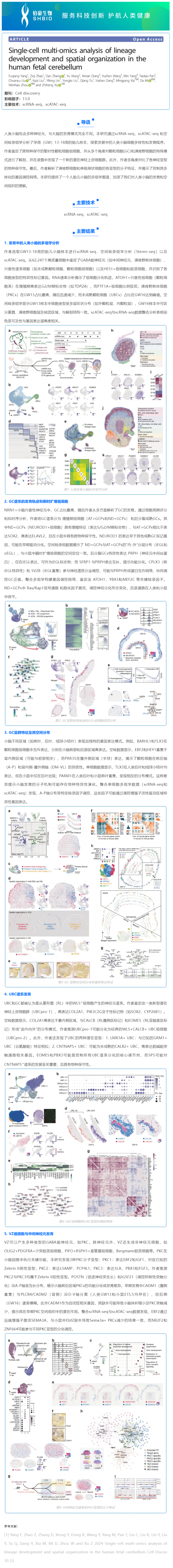 华大 DNBelab C 系列 _ 单细胞多组学解析人胎儿小脑神经细胞发育和空间结构