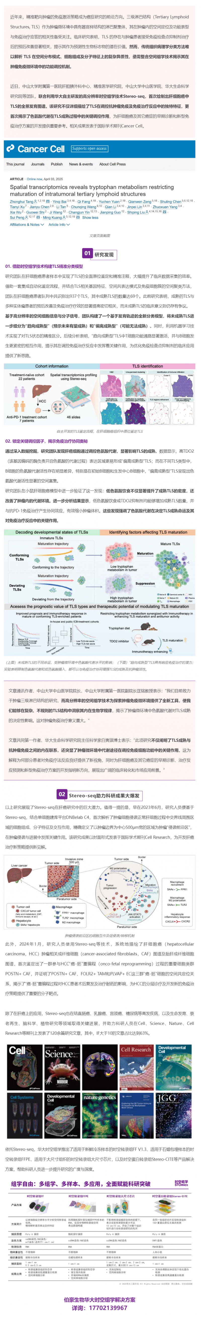 Cancer Cell _ 首个肝细胞癌中 TLS 的全景发育图谱！Stereo-seq 助力肝癌研究再获