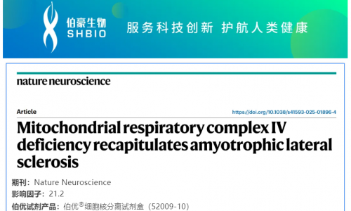 细胞核分离试剂盒应用文章 | 线粒体呼吸链复合体 IV 缺陷重现肌萎缩侧索硬化症表型