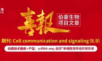 单细胞项目文章 | 慢性阻塞性肺疾病患者中肺腺癌患者对免疫治疗的增强反应：对肿瘤细胞和免疫微环境特征的见解